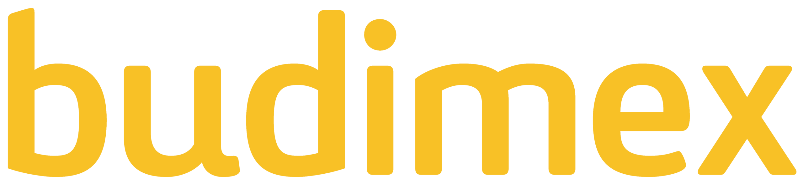 Logo_Budimex